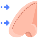 rhinoplastie Icône