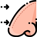 Rinoplastia icon