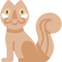 gato icon