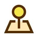 Pin icon