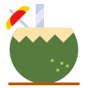 agua de coco icon