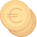 Euro icon