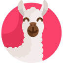 llama 