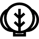 alface 