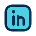 linkedin icon