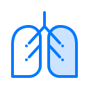 Pulmones icon