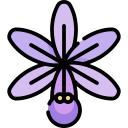 Orquídea Ícone