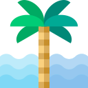 Palmera icon