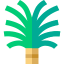 palmera de azucar icon