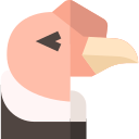 Condor icon