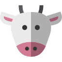 vaca