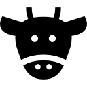 vaca