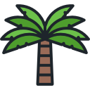 palmera icon