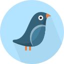 pájaro icon