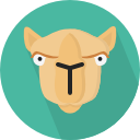 camello icon