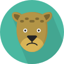 leopardo icon