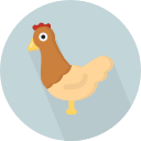 gallina icon