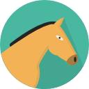 caballo icon