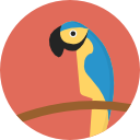 loro icon