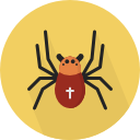 araña icon