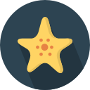 estrella de mar icon