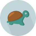 tortuga icon