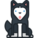 husky siberiano icon