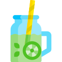 mojito icon