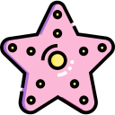 Estrella de mar icon