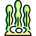 Alga marina icon