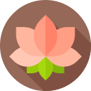 flor de loto icon