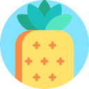 piña icon