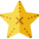estrella de mar 