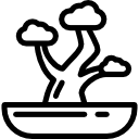 bonsai icon