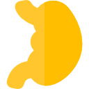 bauch 