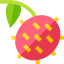 Rambután icon