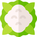 Coliflor icon