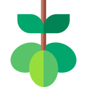 Aceitunas icon