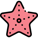 Estrella de mar icon