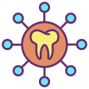 Tooth