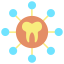 Tooth