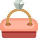 anillo icon