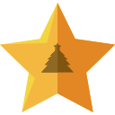 estrella icon