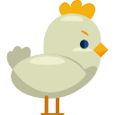 pollo icon