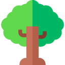 árbol icon