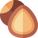 Coco icon