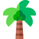 árbol de coco icon