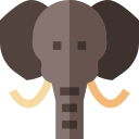 Elefante icon