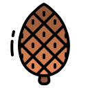 piñas icon