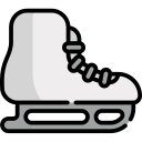 Patinaje sobre hielo icon